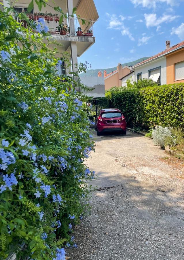 Apartment Garden Kotor Dış mekan fotoğraf