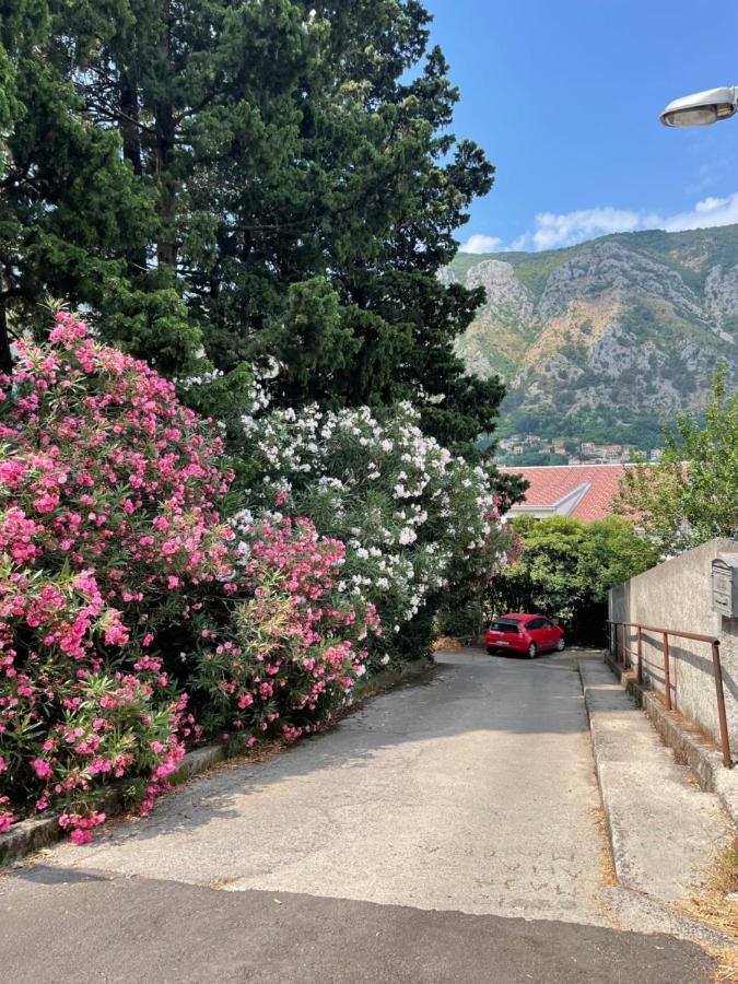 Apartment Garden Kotor Dış mekan fotoğraf