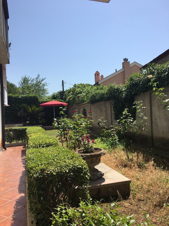 Apartment Garden Kotor Dış mekan fotoğraf